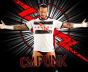 Sfondi WWE CM Punk 176x144