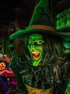 Wicked Witch wallpaper 240x320