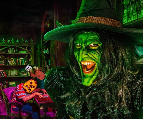 Fondo de pantalla Wicked Witch 480x400