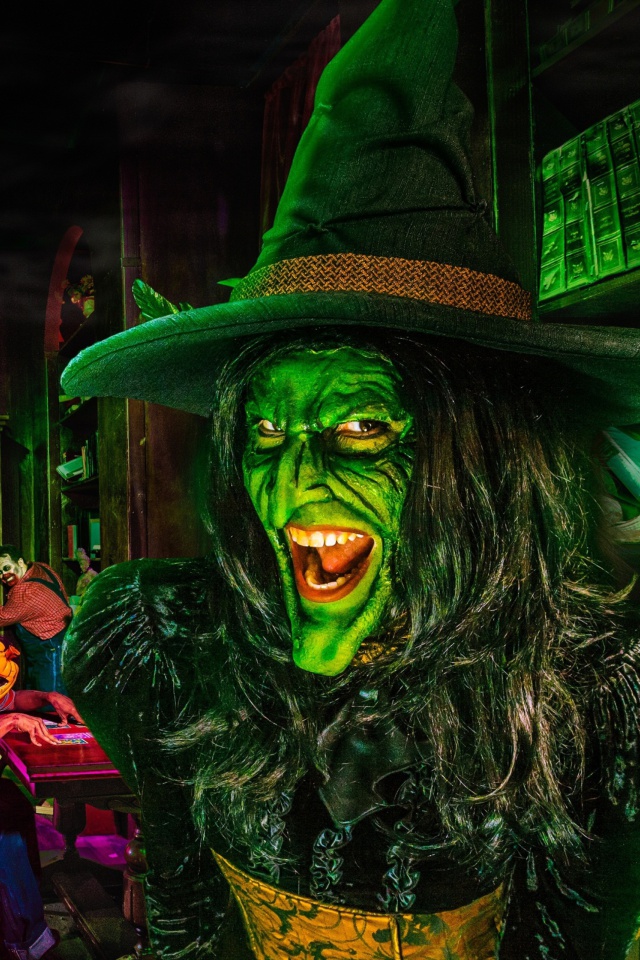 Wicked Witch wallpaper 640x960