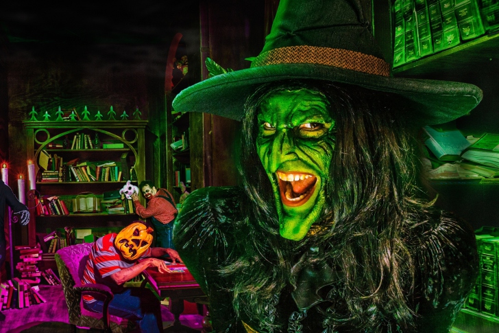 Das Wicked Witch Wallpaper