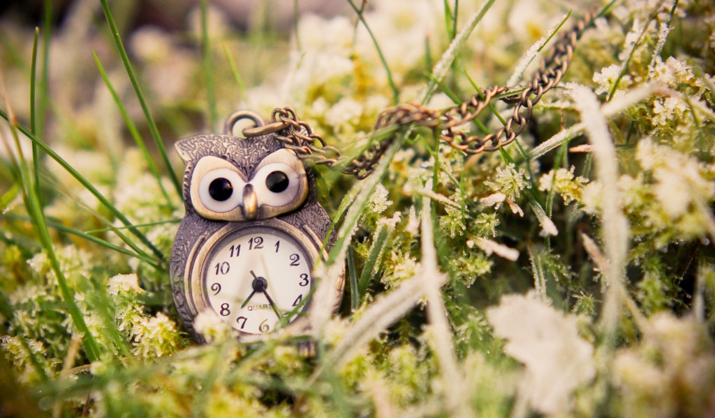 Sfondi Owl Watch Pendant 1024x600