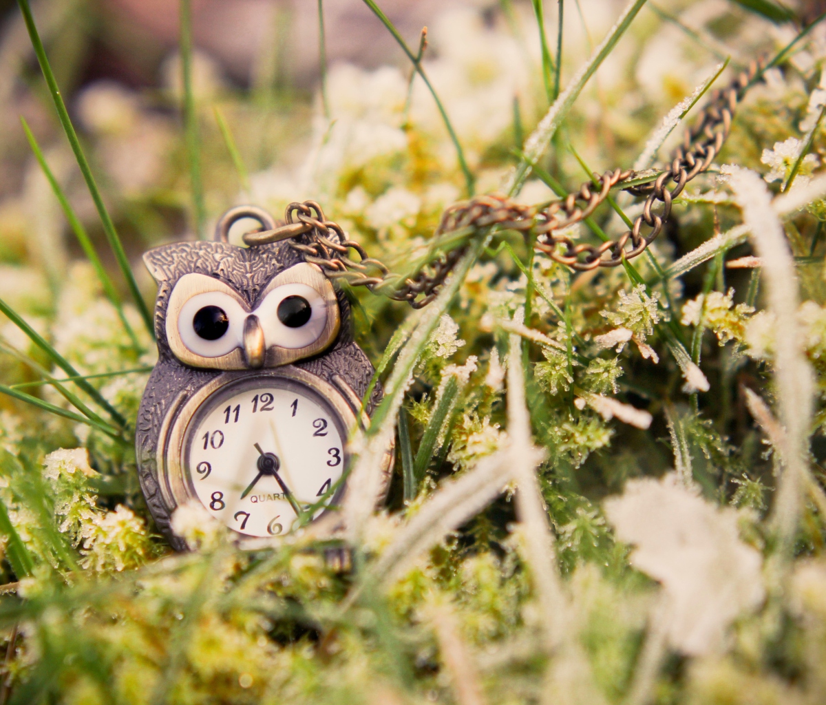 Sfondi Owl Watch Pendant 1200x1024