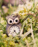 Das Owl Watch Pendant Wallpaper 128x160