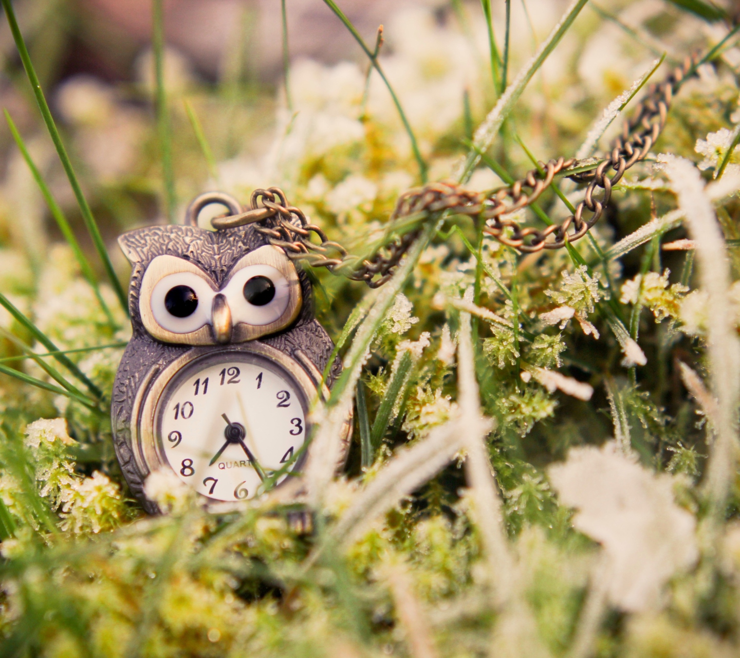 Fondo de pantalla Owl Watch Pendant 1440x1280