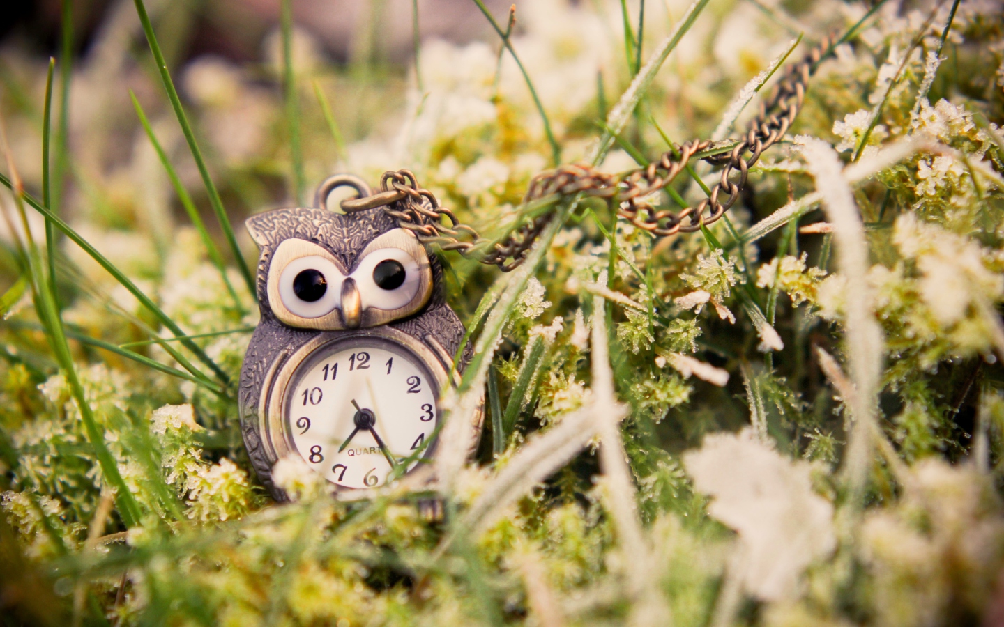 Das Owl Watch Pendant Wallpaper 1440x900