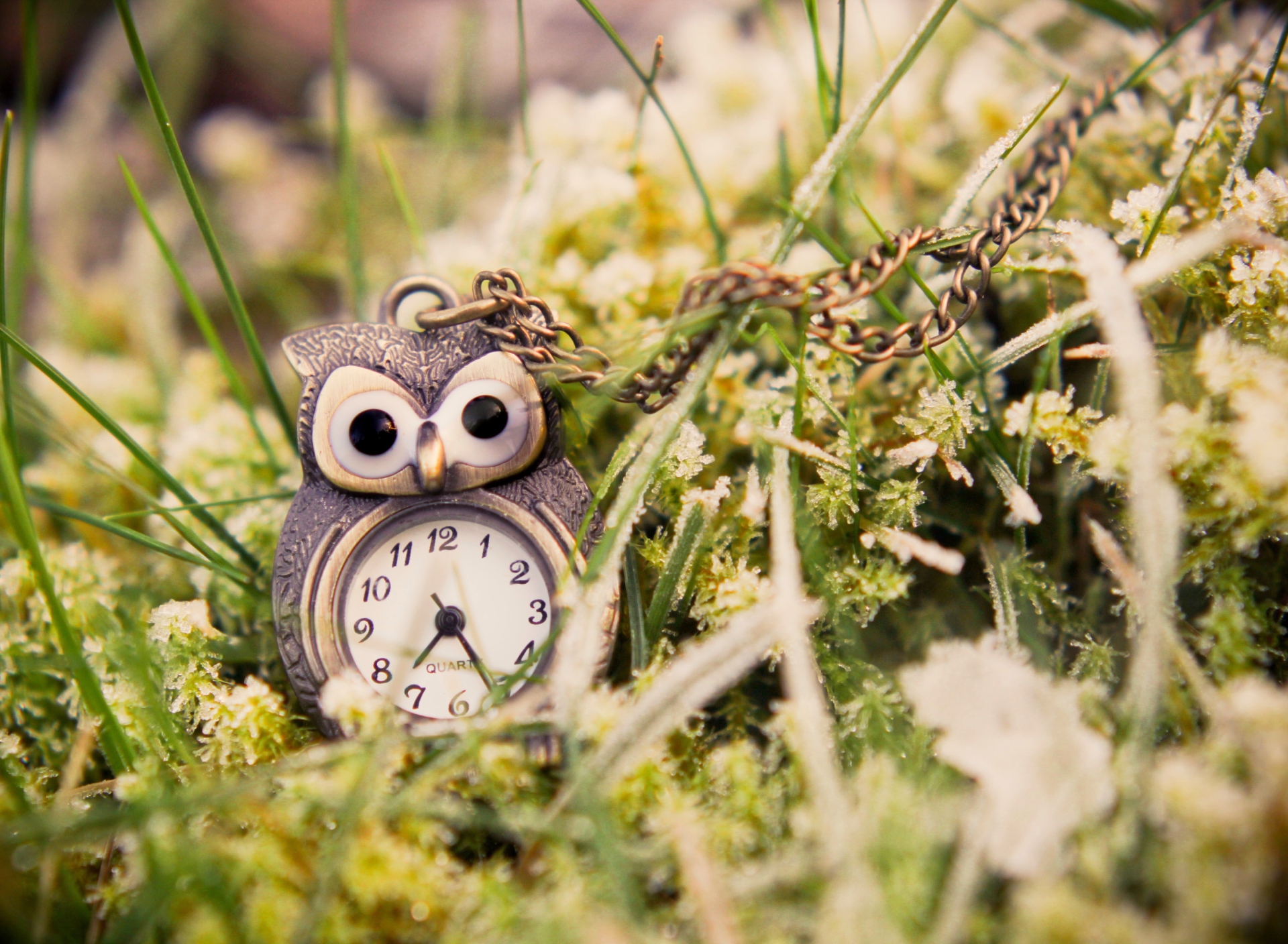Обои Owl Watch Pendant 1920x1408