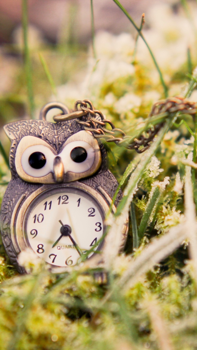 Sfondi Owl Watch Pendant 640x1136