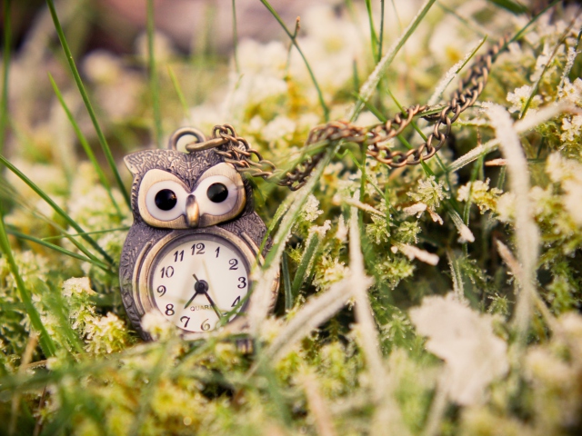 Das Owl Watch Pendant Wallpaper 640x480