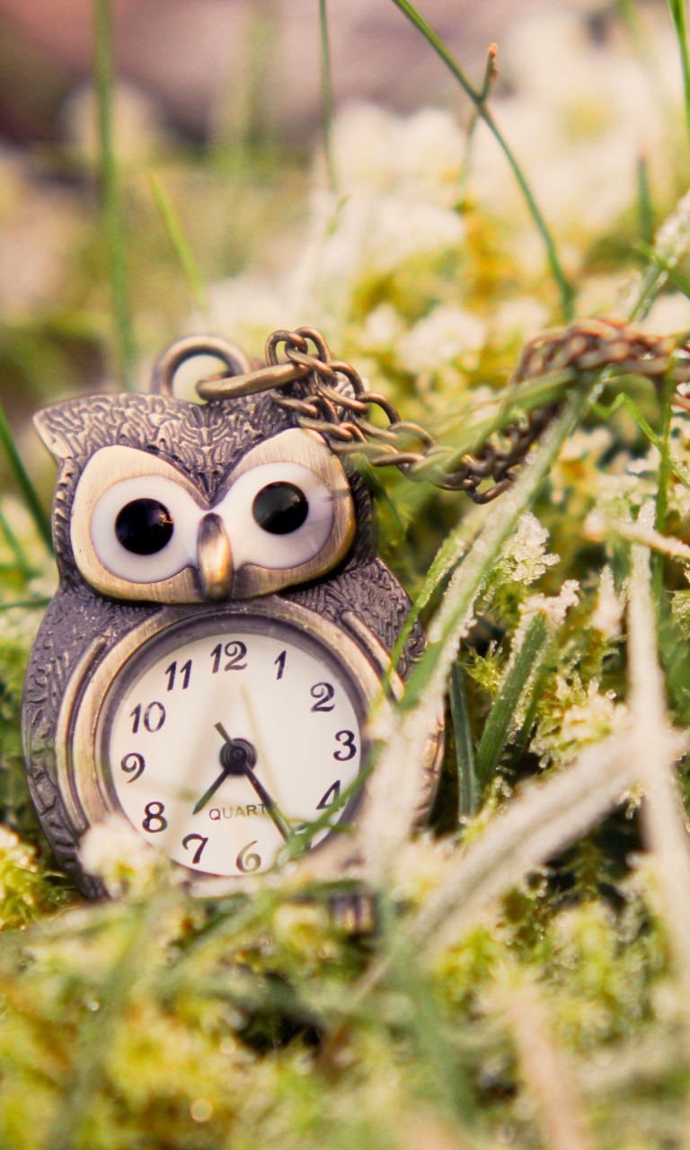 Sfondi Owl Watch Pendant 768x1280