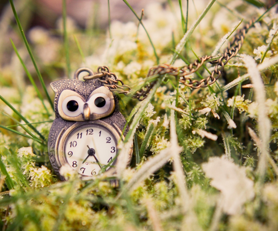 Обои Owl Watch Pendant 960x800