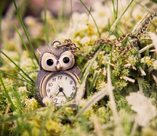 Owl Watch Pendant sfondi gratuiti per iPad