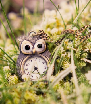 Owl Watch Pendant sfondi gratuiti per Nokia C2-06