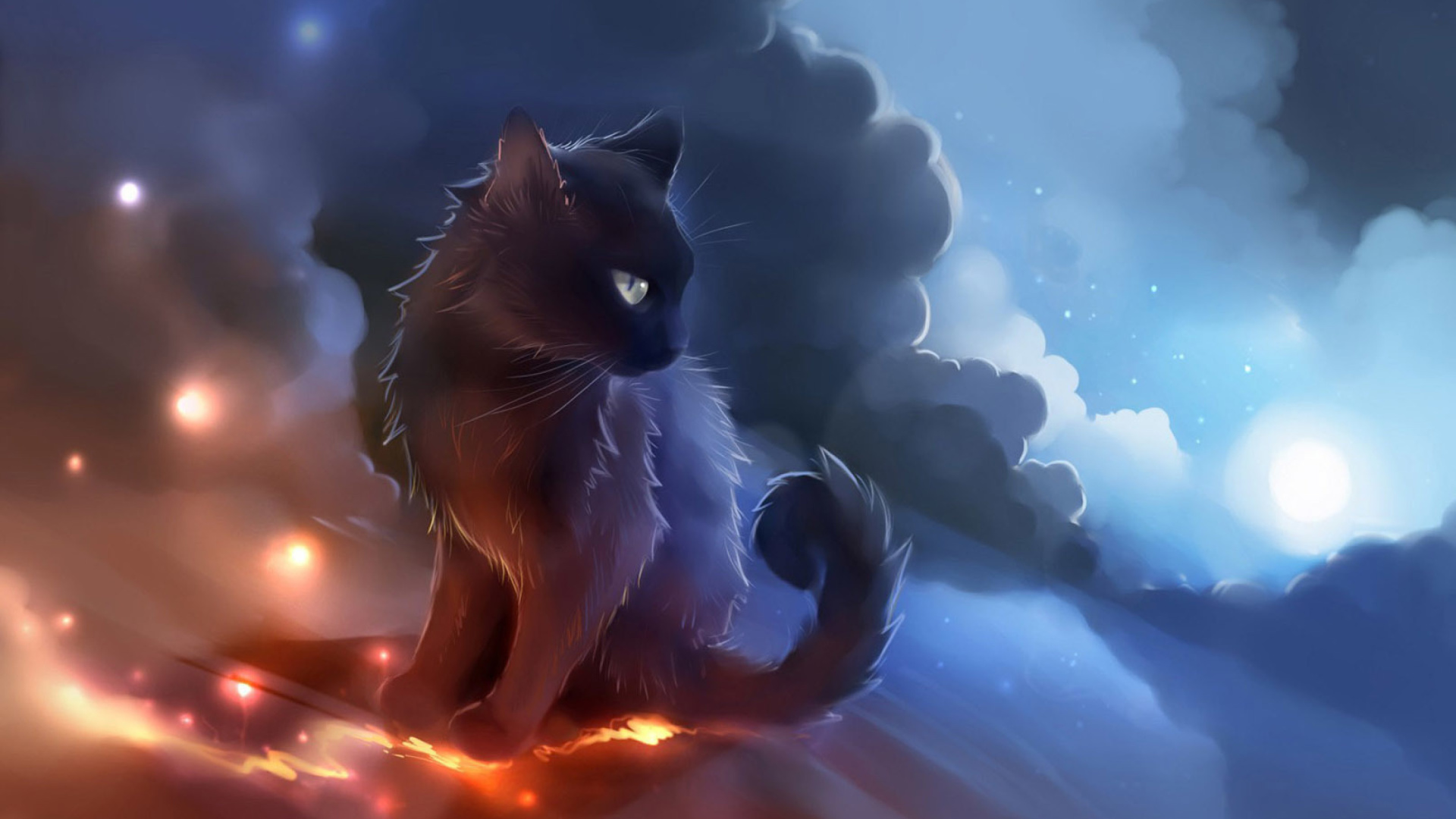 Sfondi Kitten in Clouds 1920x1080