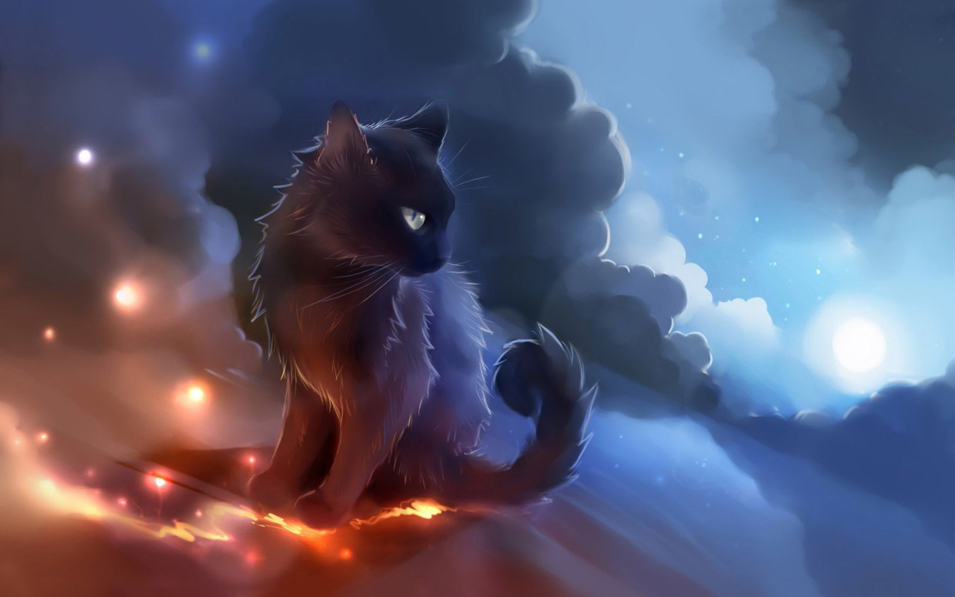 Kitten in Clouds wallpaper 1920x1200