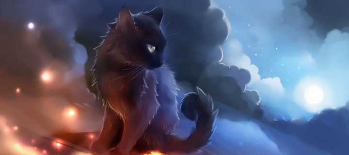 Kitten in Clouds wallpaper 720x320