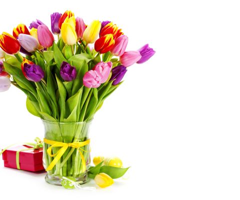 Обои Tulips Bouquet and Gift 480x400