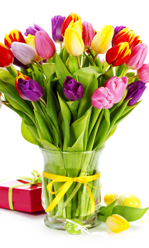 Tulips Bouquet and Gift wallpaper 480x800