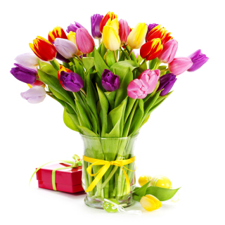 Kostenloses Tulips Bouquet and Gift Wallpaper für 208x208
