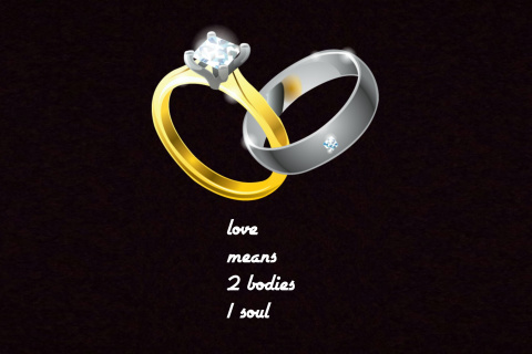 Обои Love Rings 480x320