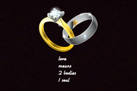 Das Love Rings Wallpaper 480x320