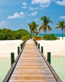 Sfondi Bahamas Paradise 128x160