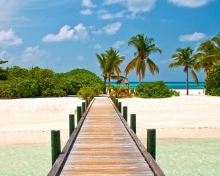 Fondo de pantalla Bahamas Paradise 220x176