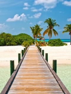 Sfondi Bahamas Paradise 240x320