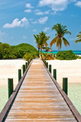 Sfondi Bahamas Paradise 320x480