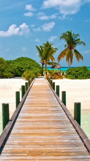 Обои Bahamas Paradise 360x640