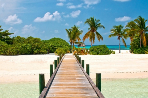 Screenshot №1 pro téma Bahamas Paradise 480x320