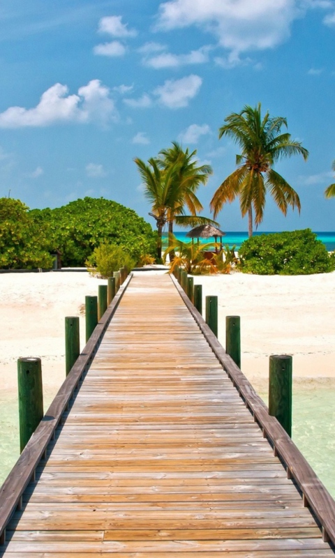 Screenshot №1 pro téma Bahamas Paradise 480x800
