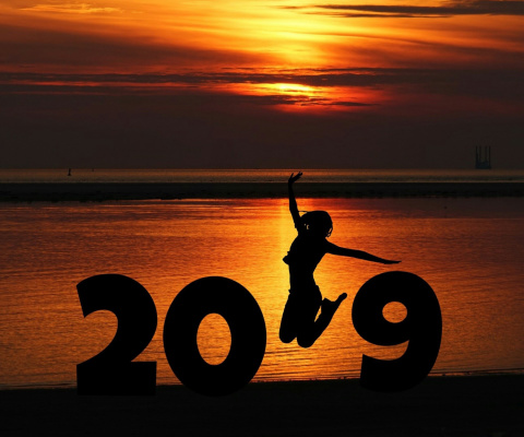 2019 New Year Sunset wallpaper 480x400