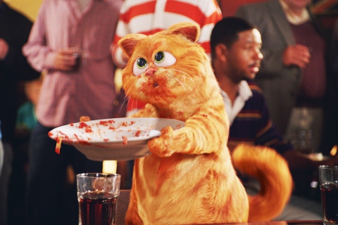 Garfield wallpaper 480x320