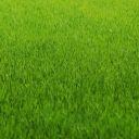 Green Grass wallpaper 128x128