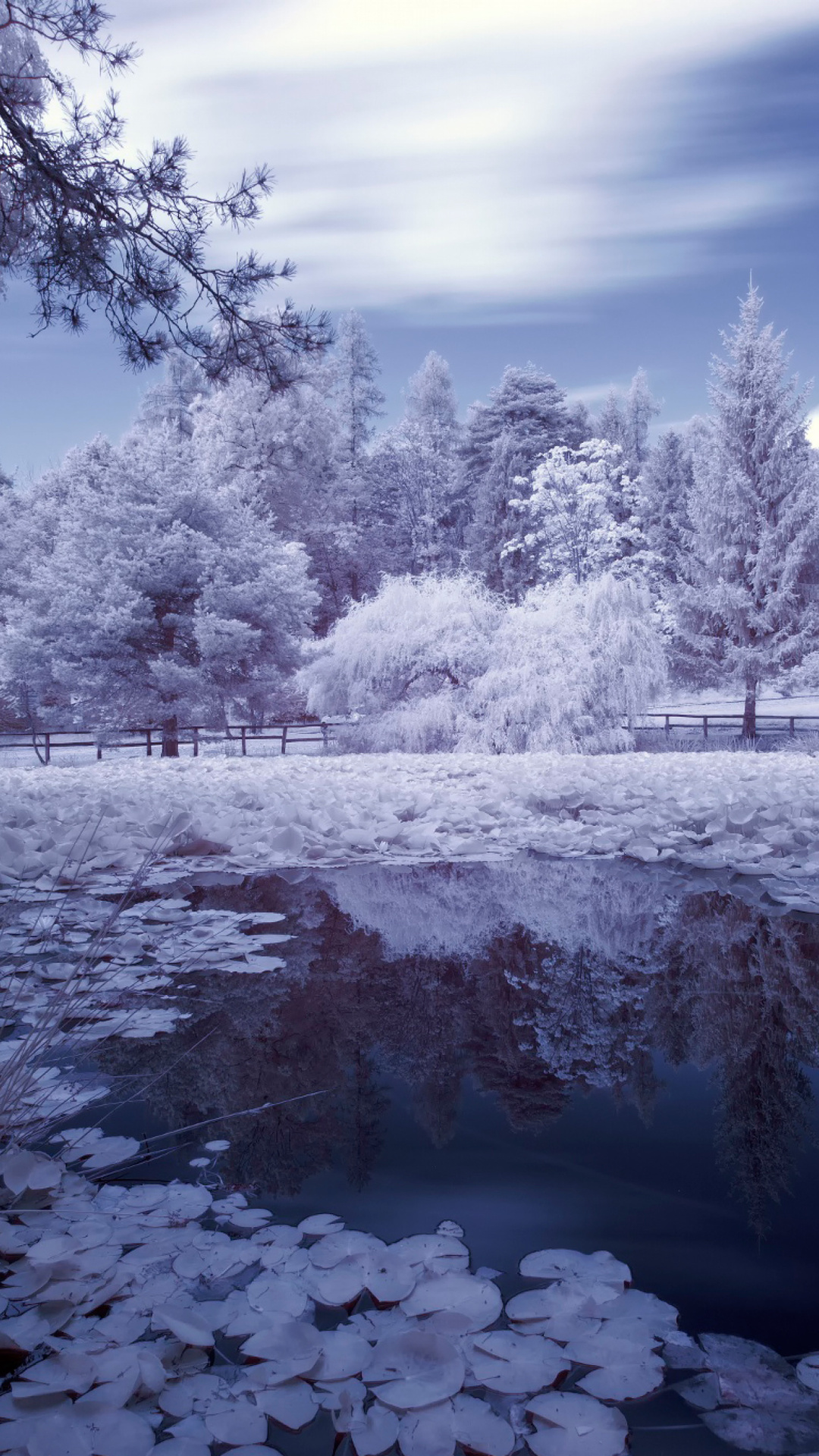 Frozen Pond wallpaper 1080x1920
