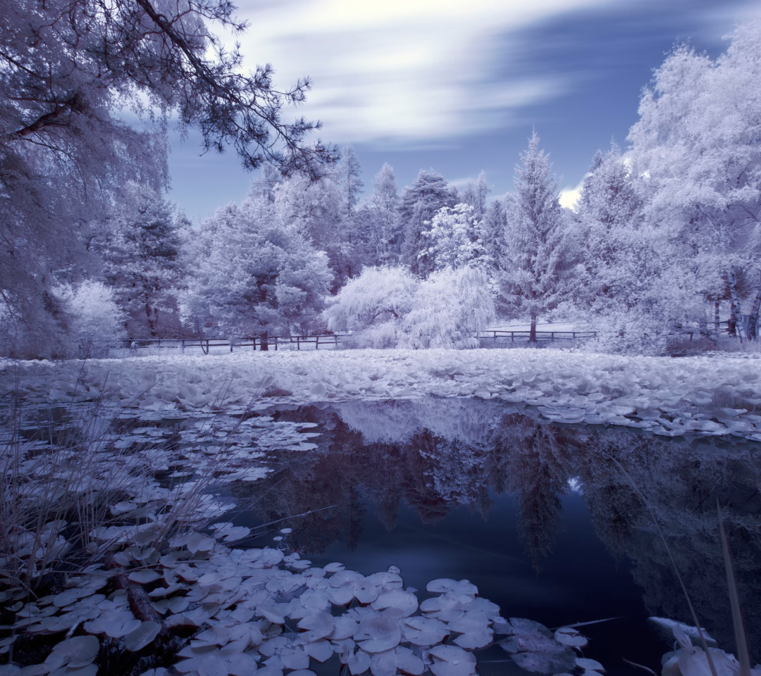 Frozen Pond wallpaper 1080x960