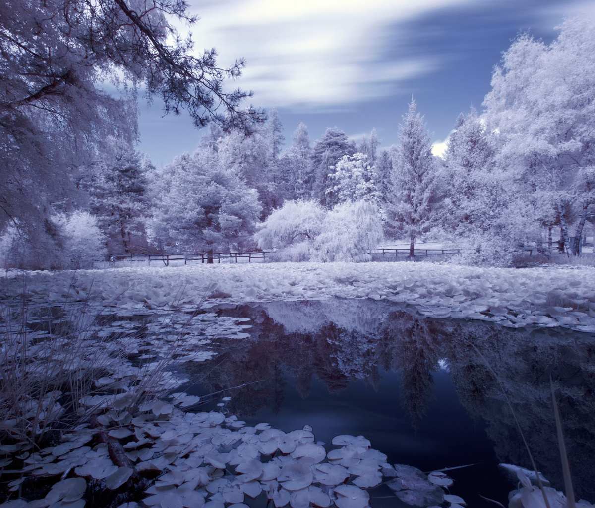 Frozen Pond wallpaper 1200x1024