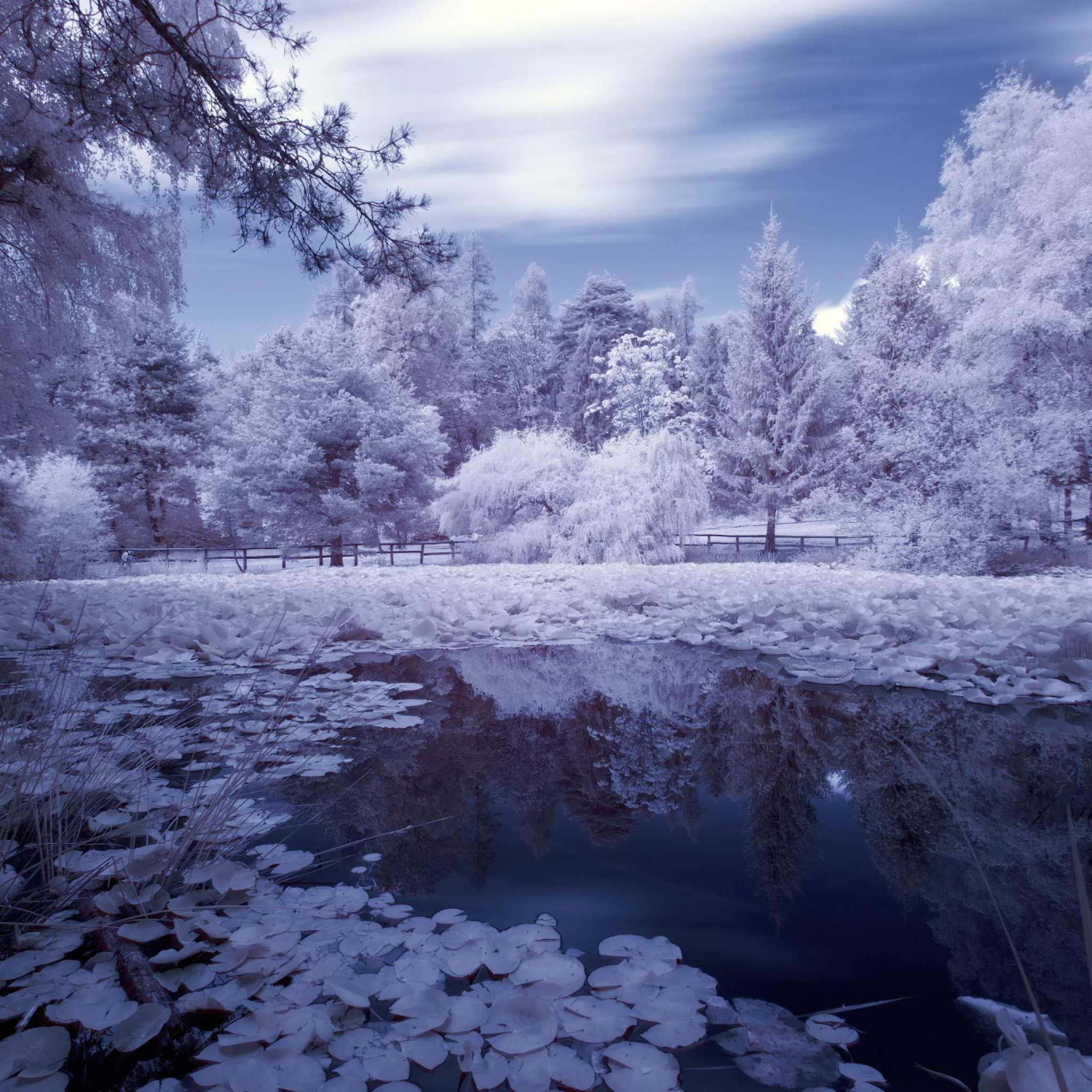 Frozen Pond wallpaper 2048x2048