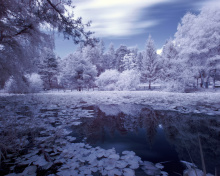 Frozen Pond screenshot #1 220x176
