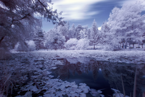 Das Frozen Pond Wallpaper 480x320