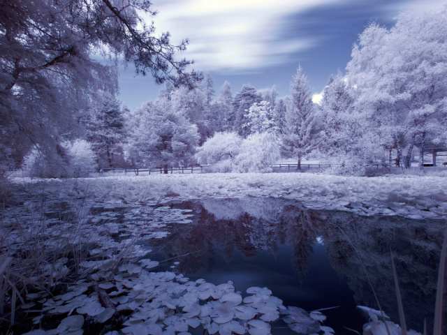 Das Frozen Pond Wallpaper 640x480
