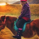 Sfondi Little Girl On Pony 128x128