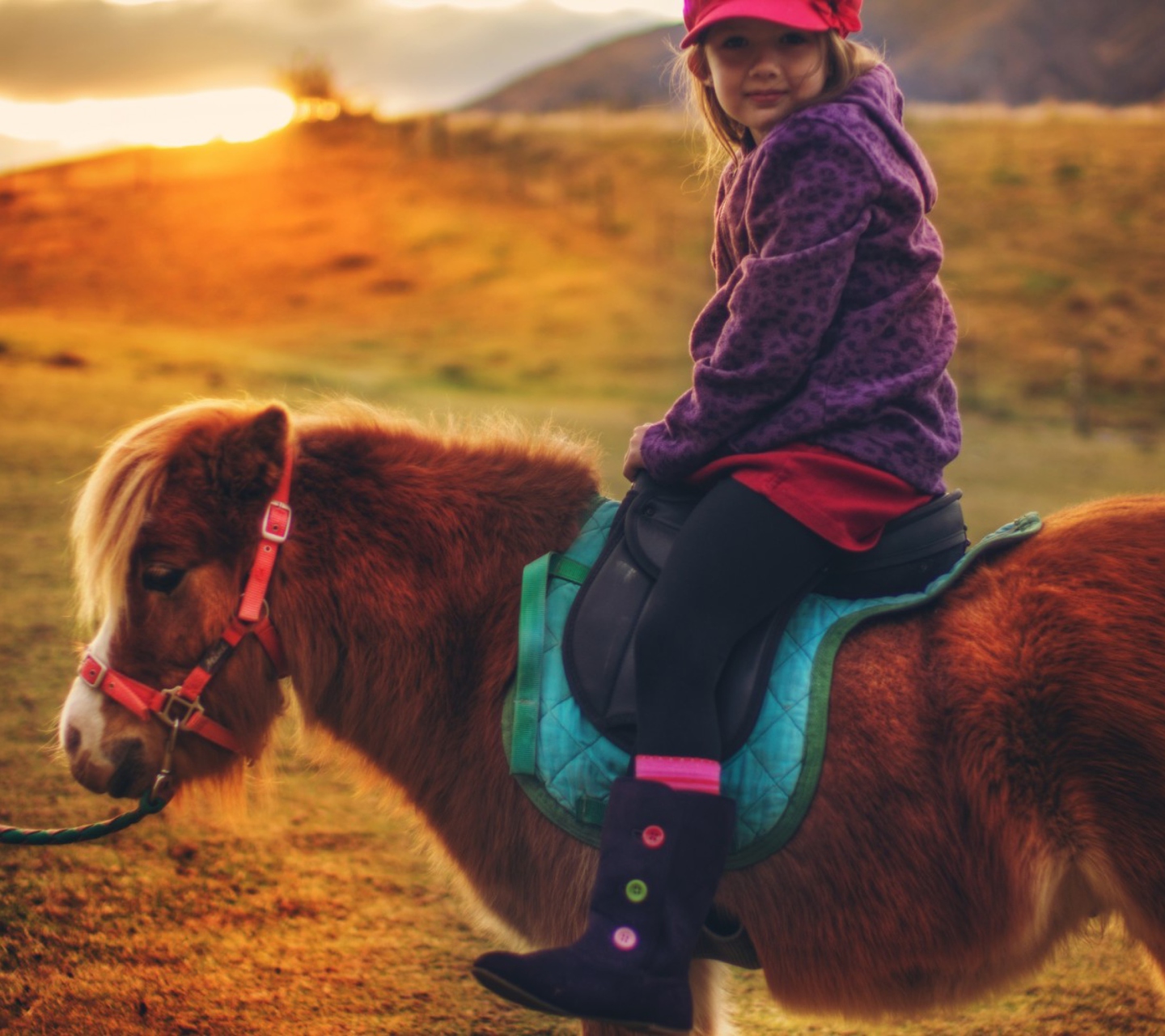 Обои Little Girl On Pony 1440x1280