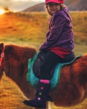 Das Little Girl On Pony Wallpaper 176x220