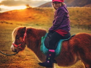 Обои Little Girl On Pony 320x240