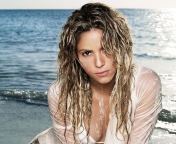 Обои Shakira On Beach 176x144