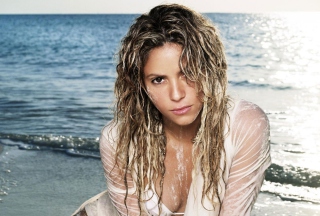 Free Shakira On Beach Picture for Android, iPhone and iPad