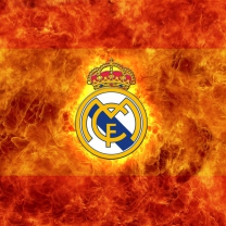 Real Madrid wallpaper 208x208