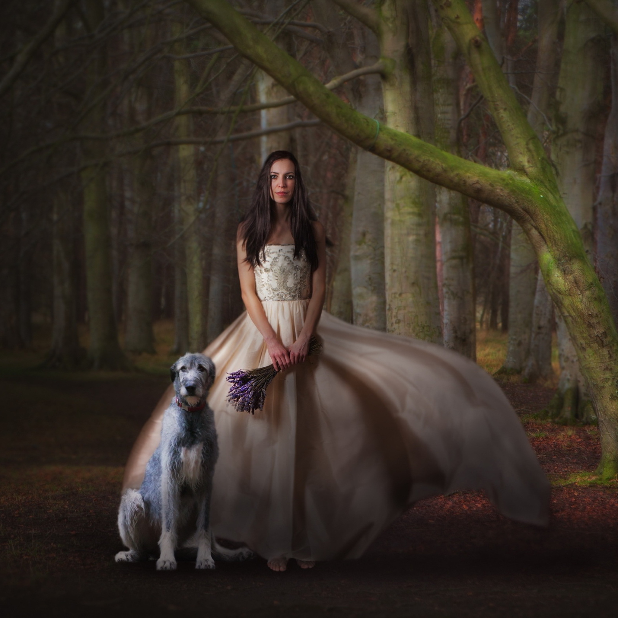 Screenshot №1 pro téma Girl, Lavender Bouquet And Dog 2048x2048
